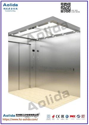 Elevador de carga hospitalar