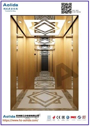 elevadores para casas particulares
